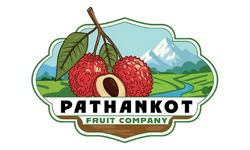 PFC Logo