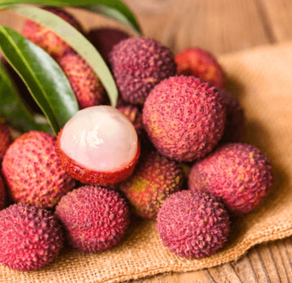 Shahi Litchi PFC